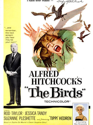 THE BIRDS