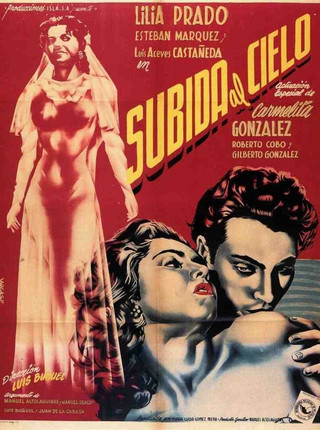 SUBIDA AL CIELO