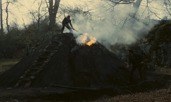 TASIO © Mercury Films